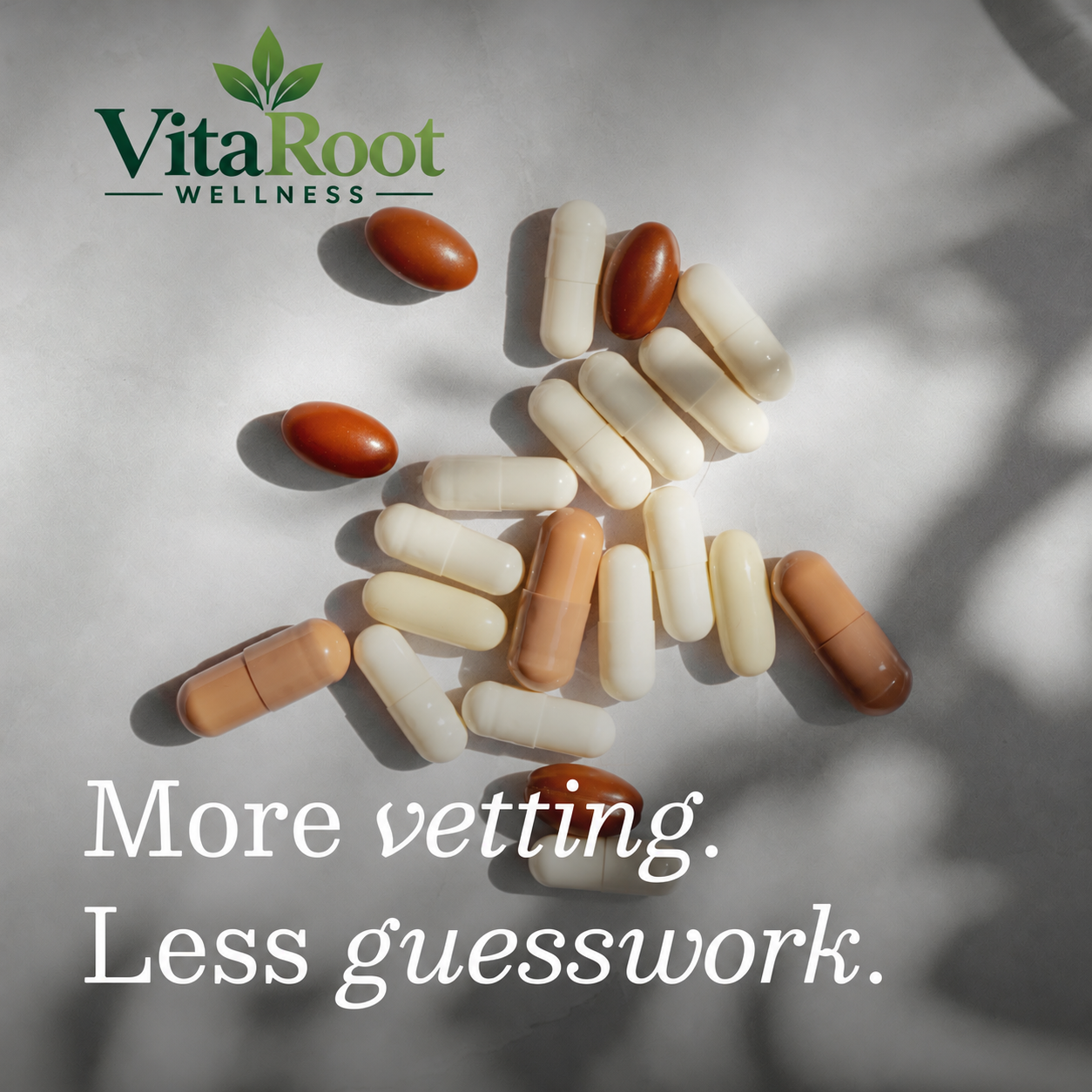 VitaRoot Wellness supplement illustration with the words More vetting. Less guesswork.